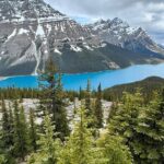 Can/Banff :Columbia Icefield, Crowfoot Glacier and Bow Lake, Tour - Transportation and Group Size