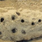 Canakkale: Full-Day Ancient Troy and Museum of Troy Tour - A Detailed Look at the Tour Experience
