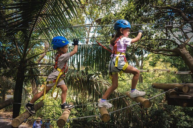 Canberra Junior Tree Ropes Course - A Closer Look at the Canberra Junior Tree Ropes Course