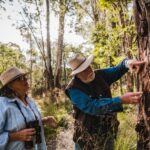 Canberra: Kangaroos and Koala Experience Tour - Tidbinbilla Nature Reserve: Wildlife Encounters in the Wild