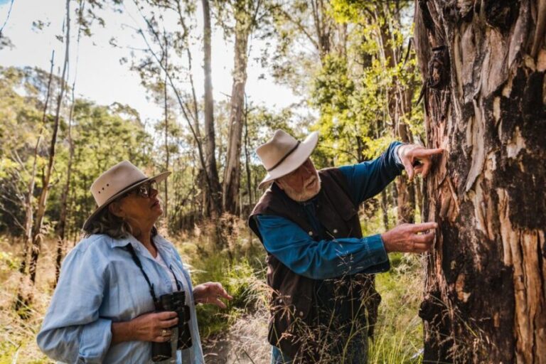 Canberra: Kangaroos and Koala Experience Tour - Tidbinbilla Nature Reserve: Wildlife Encounters in the Wild