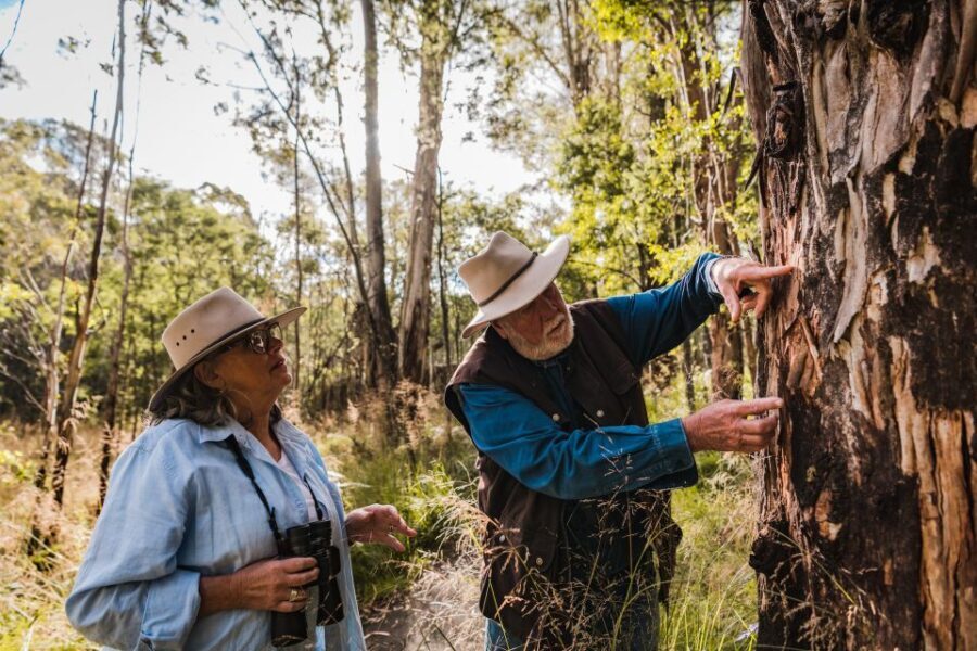Canberra: Kangaroos and Koala Experience Tour - Tidbinbilla Nature Reserve: Wildlife Encounters in the Wild