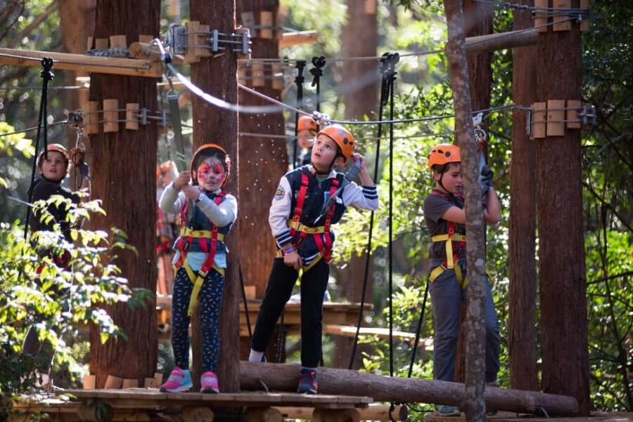 Canberra: Majura Pines Junior Tree Ropes Course - The Safety and Quality of the Experience