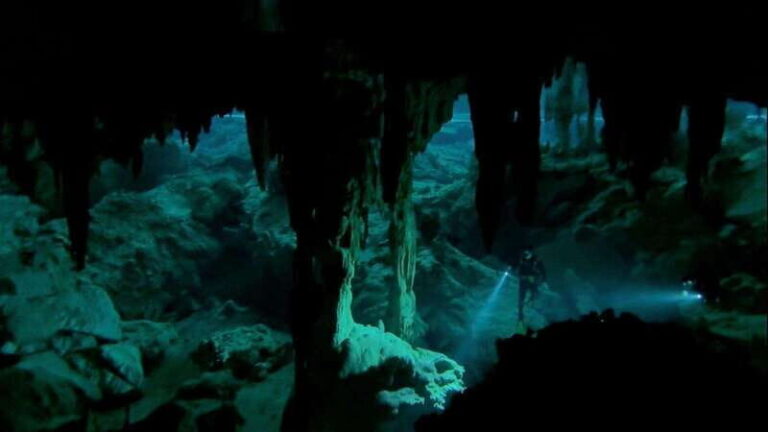 Cancun 2 Cenote Dives: The Pit & Dos Ojos - Certified Divers - Who Should Book This Tour?