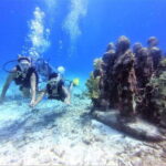 Cancun: 2-Tank Dive for Beginners with MUSA and Reef Dive - Final Thoughts: Is It Worth It?