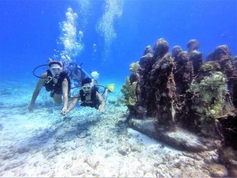 Cancun: 2-Tank Dive for Beginners with MUSA and Reef Dive - Final Thoughts: Is It Worth It?