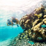 Cancun: 2Hour Speedboat Experience - Who Will Enjoy This Tour?