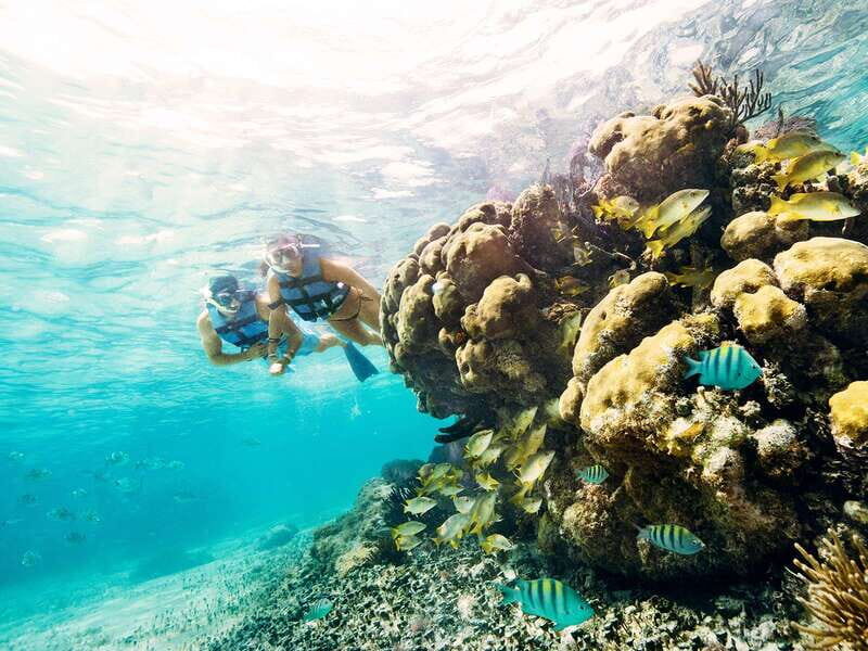 Cancun: 2Hour Speedboat Experience - Who Will Enjoy This Tour?