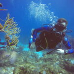 Cancun: 3 Days SDI Open Water Diver Certification - Final Thoughts: Who Is This Tour Best For?