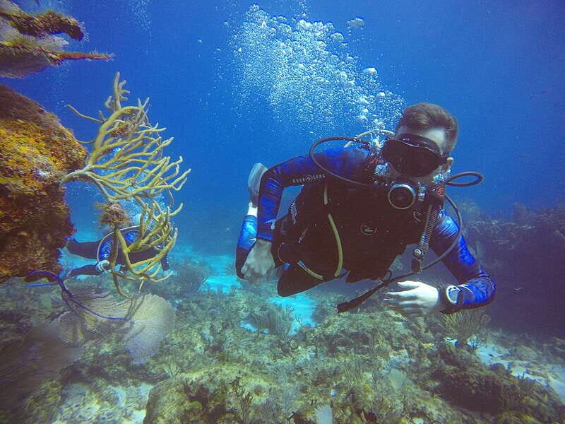 Cancun: 3 Days SDI Open Water Diver Certification - Final Thoughts: Who Is This Tour Best For?