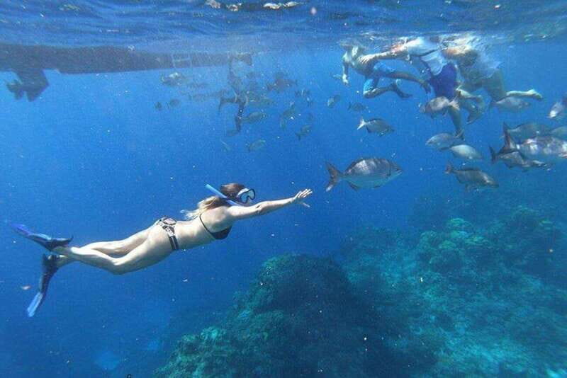 Cancun: 3 Islands Snorkel Adventure - Who Is This Tour Best For?