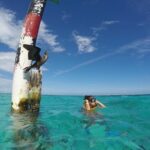Cancun Adventure: Reef Snorkeling & Parasailing Experience - The Full Experience: What You Can Expect