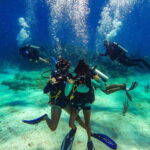 Cancun: All included Diving Lesson (2 Tanks) - Who Will Love This Tour?