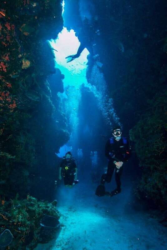 Cancun: Angelfish Discovery Package - The Guides and Support