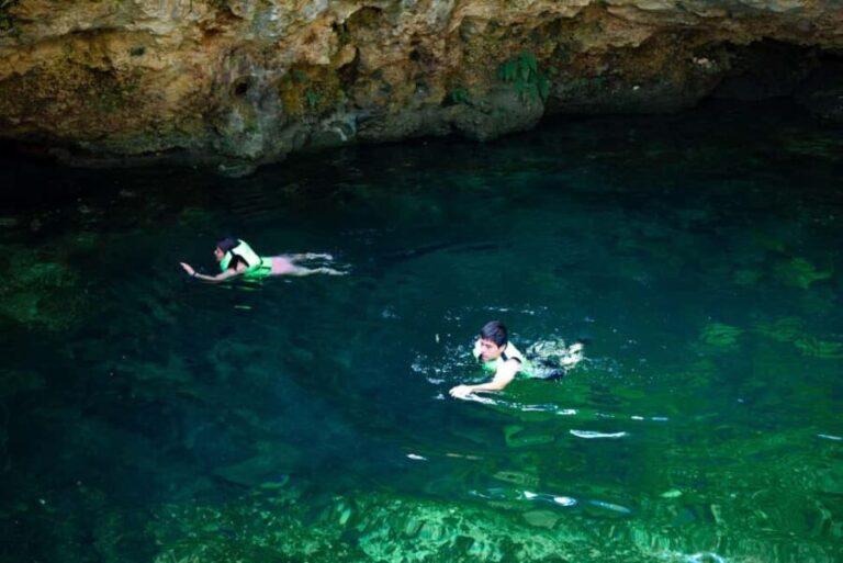 Cancun: Cenotes El Retoño entrance only - In-Depth: What to Expect Throughout Your Day