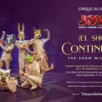 Cancún: Cirque du Soleil JOYÀ Ticket - The Value of Your Ticket