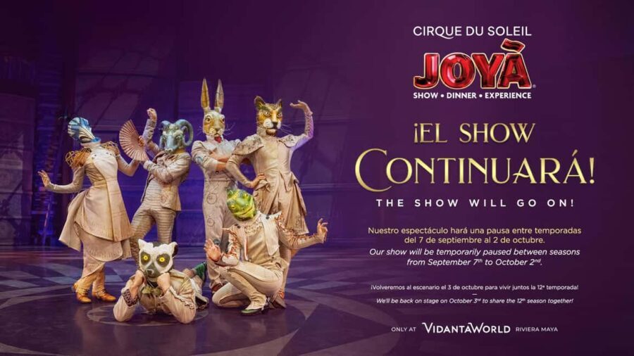Cancún: Cirque du Soleil JOYÀ Ticket - The Value of Your Ticket