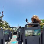 Cancun City Tour, Ruins, fun & adventure! Round Transportation - Practical Details and What to Expect