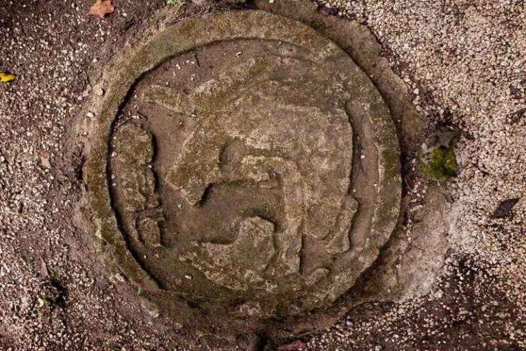 Cancun/Costa Mujeres: Private Tour to Coba in the Morning - Who Will Love This Tour?