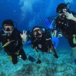 Cancún: Cozumel 2-Tank Diving Tour with Lunch & Transfers - Who Should Consider This Tour?