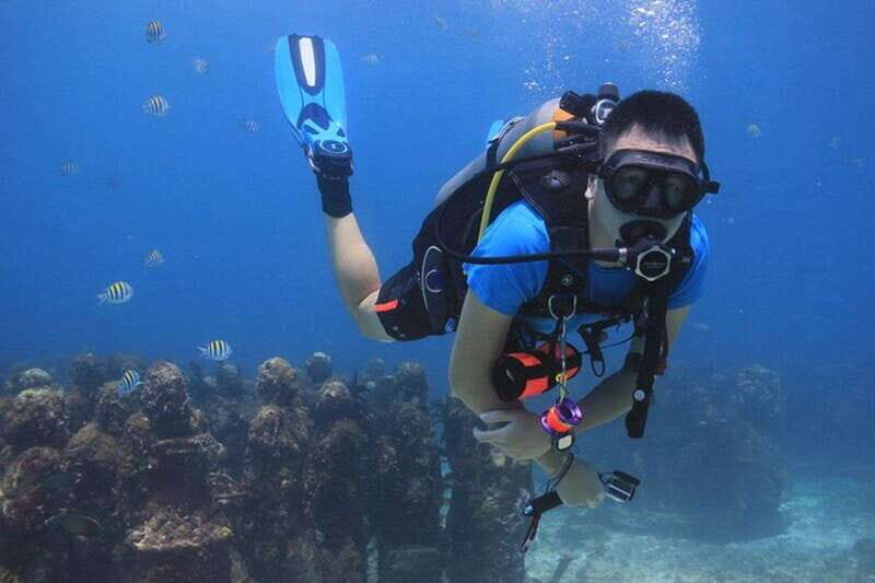 Cancun: Dive Underwater Museum & Manchones Reef - Price and Value