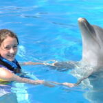 Cancún: Dolphin Encounter on Isla Mujeres with Buffet - What Makes This Tour Stand Out