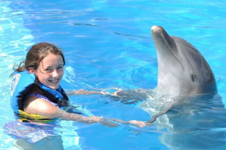 Cancún: Dolphin Encounter on Isla Mujeres with Buffet - What Makes This Tour Stand Out
