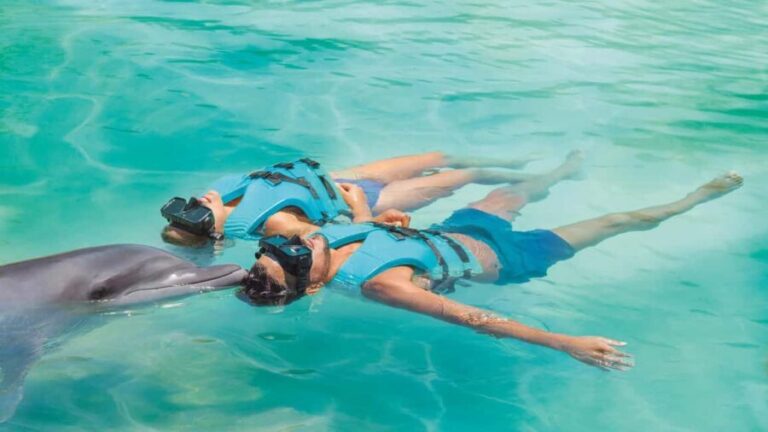 CANCUN: Dolphin Swim Adventure with buffet and soft drinks - What the Reviews Tell Us
