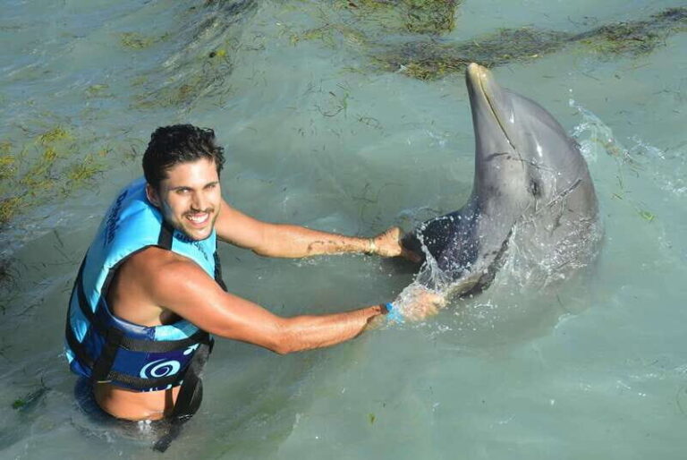 Cancun: Dolphin Swim and Garrafon Reef Park Tour with Buffet - A Closer Look at the Tour Experience