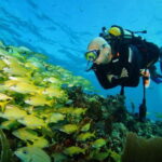 CANCUN: FIRST TIME DIVERS CANCUN - A Detailed Look at the Cancun First Time Divers Tour