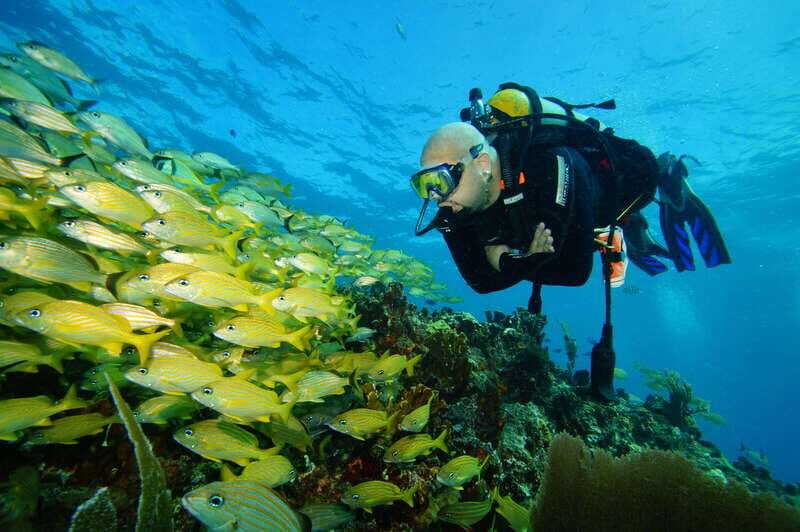 CANCUN: FIRST TIME DIVERS CANCUN - A Detailed Look at the Cancun First Time Divers Tour