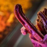 Cancun: Flavors of Mexico, Taco and Beer Tasting Tour - Key Points