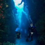 Cancun: Goliat Grouper Dive Adventure - Final Thoughts