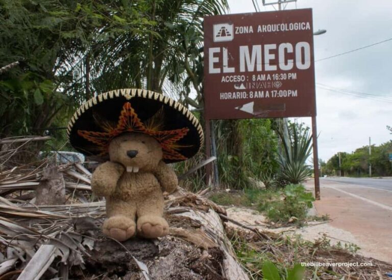 Cancun Guided Sightseeing El Meco Site, Letters and Shopping - Practical Considerations and Tips