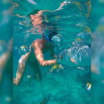 Cancun: Half-Day Private Catamaran for 35 guests - An Inside Look at the Catamaran Tour