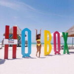 Cancun: Holbox Island Birdwatching and Wildlife Adventure - Exploring the Details: From Cancun to Holbox