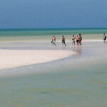Cancun: Holbox plus Island, Punta Mosquito Trip with Lunch - What We Like and What to Keep in Mind