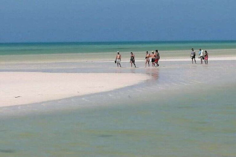 Cancun: Holbox plus Island, Punta Mosquito Trip with Lunch - What We Like and What to Keep in Mind