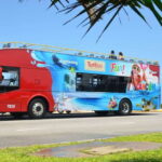 Cancun: Hop-On-Hop-Off Sightseeing Bus Tour - Who Will Enjoy This Tour?