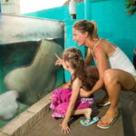 Cancún: Interactive Aquarium Admission - A Closer Look at the Cancún Interactive Aquarium Experience