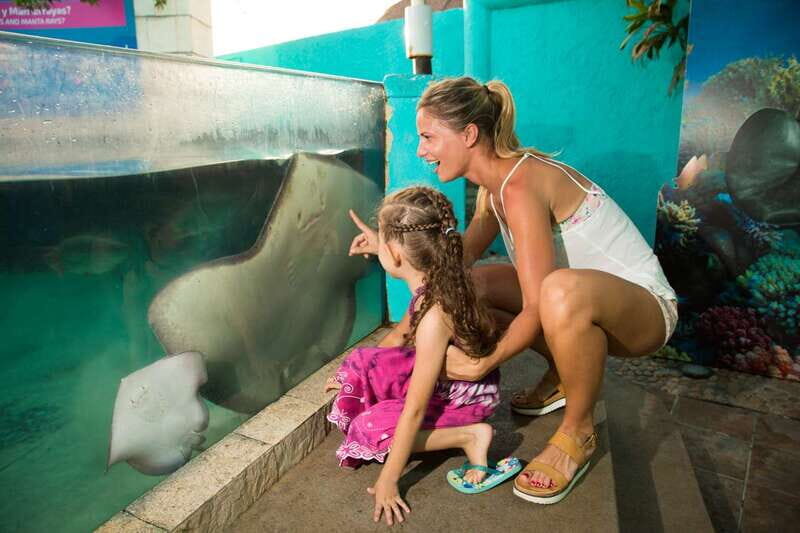 Cancún: Interactive Aquarium Admission - A Closer Look at the Cancún Interactive Aquarium Experience