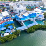 Cancun: Interactive Aquarium - Swim with Dolphins Splash - Final Thoughts on the Experience