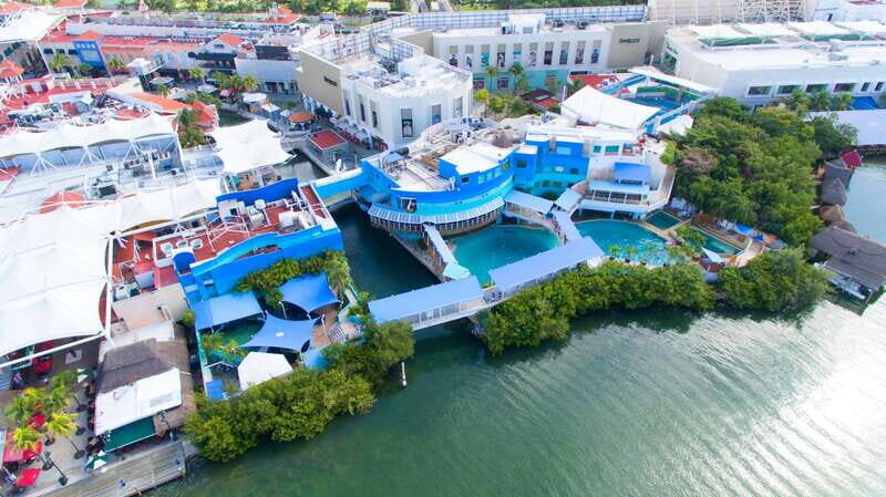 Cancun: Interactive Aquarium - Swim with Dolphins Splash - Final Thoughts on the Experience