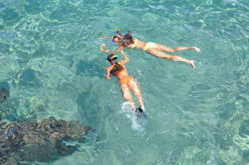 Cancun: Jungle expedition with speedboat ride and Snorkel - Exploring Cancun’s Jungle: An Honest Breakdown