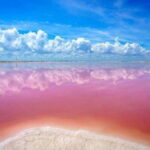 Cancun: Las Coloradas and Río Lagartos Private Tour - A Detailed Look at the Tour Experience