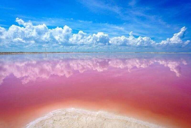 Cancun: Las Coloradas and Río Lagartos Private Tour - A Detailed Look at the Tour Experience