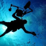 Cancun: MUSA Diving for certified divers morning dive trip - Final Thoughts