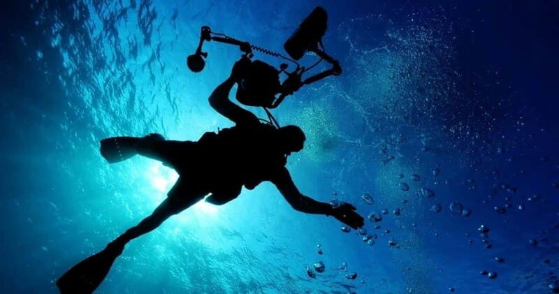 Cancun: MUSA Diving for certified divers morning dive trip - Final Thoughts
