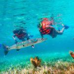 Cancún: Puerto Morelos Reef Snorkeling Tour & Seaside Lunch - Itinerary Breakdown
