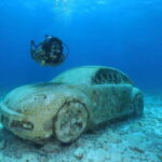 Cancun: Scuba Diving for Beginners, 2 Dives - Final Thoughts